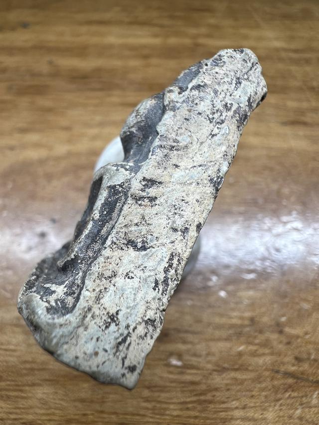 พระนางพญา 3