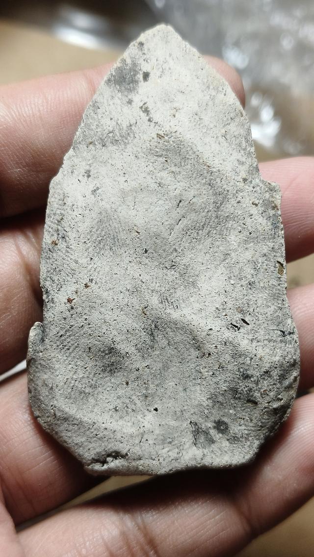 ทวารดีพระยอดขุนพลซุ้มไข่ปลากรุวัดประตูลี้ รูปย่อยที่ 4