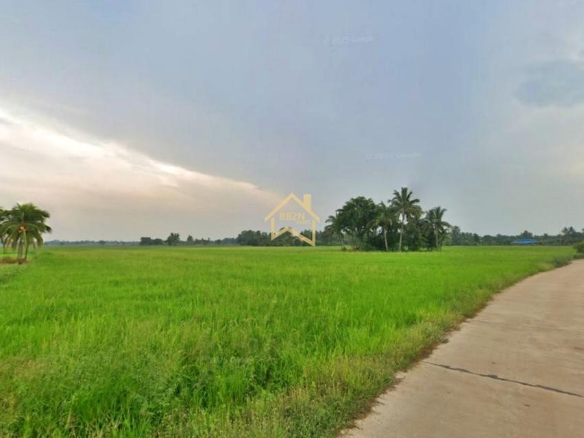 ที่ดิน 10 ไร่ ต.บ้านไร่ อ.บางกระทุ่ม จ.พิษณุโลก 4