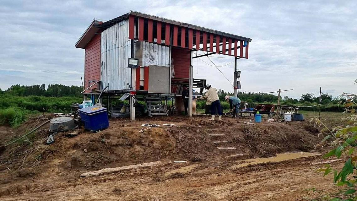 ขายที่ดินไฮหย่องพร้อมสิ่งปลูกสร้าง 98 ไร่ ติดคลอง ใกล้วัดหนองนกกด-2กม. อ.พังโคน จ.สกลนคร 5