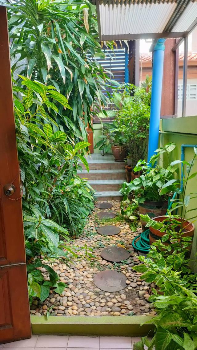 ขายบ้านสวยสภาพดี เจ้าของดูแลดีมาก ศรีราชา-ไร่กล้วย 17