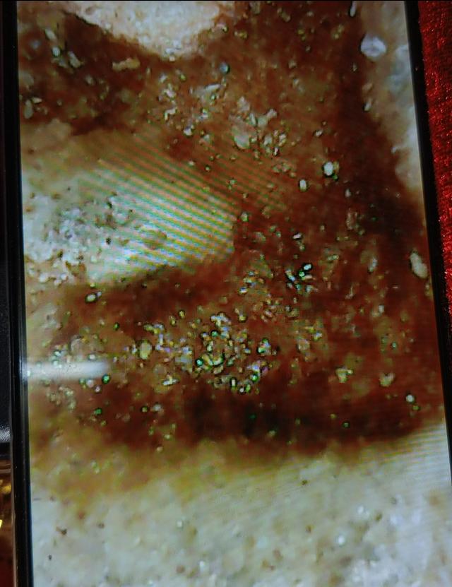 พระหลวงพ่อสด พระผงของขวัญ 8