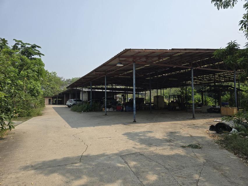  Land House and Warehouse Buildings for Sale —BangSai  4