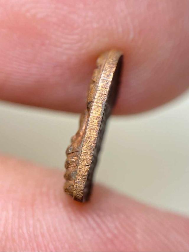 ปรกจ้อย หลวงปู่ทิม อิสริโก 5