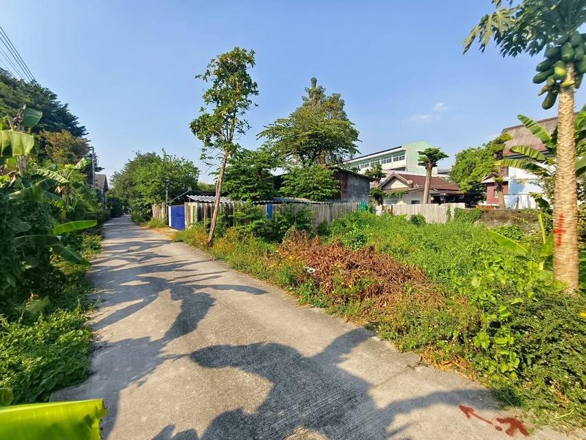 ขายถูก ที่ดินใกล้วัดบัว 50 ตารางวา ซอยสำเร็จพัฒนา 17 ปลายบาง บางกรวย นนทบุรี 2