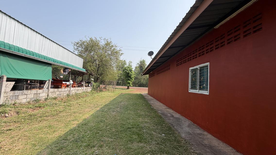 บ้านพร้อมที่ดิน พื้นที่2 งาน 90 ตรว. 2
