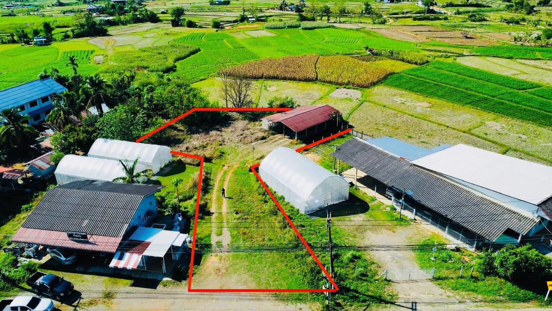 ขายที่ดิน ปัว น่าน 3 งาน 29.1 ตร.ว. ราคา 1.5 ล้าน