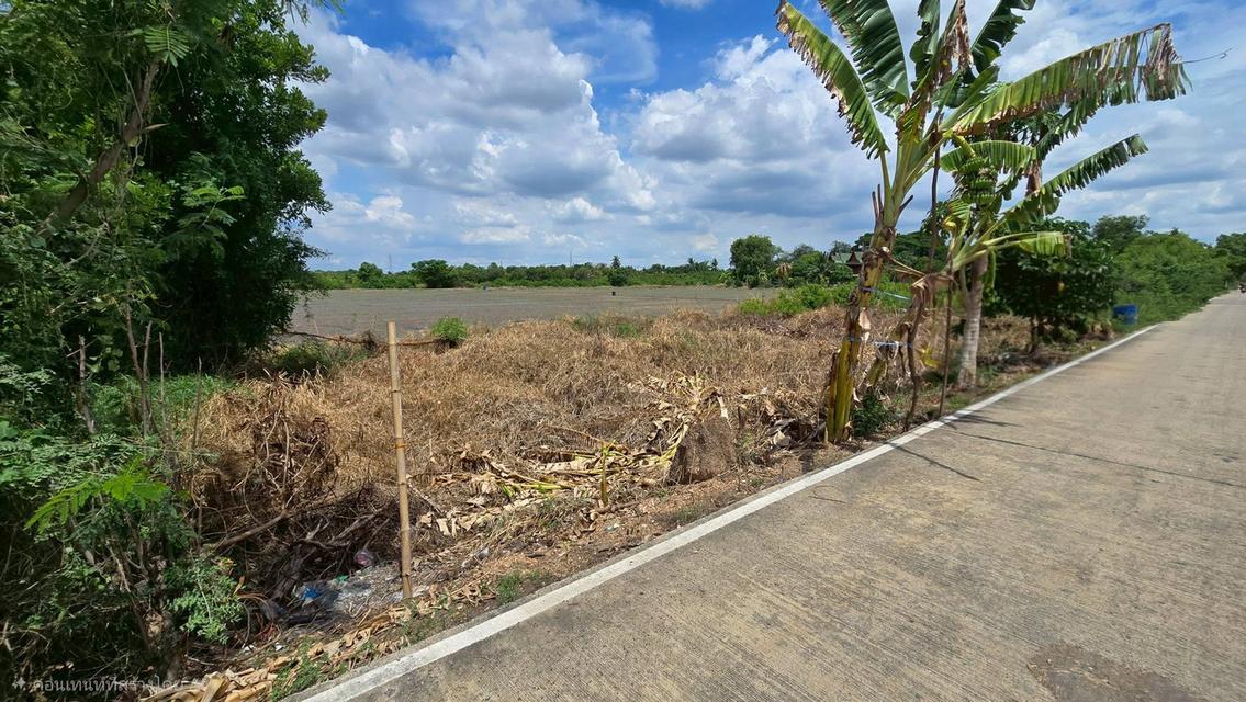 ขายด่วนที่ดิน 100 ตรว ติดถนนสาธารณะ ซ.วัดบัวสุวรรณประดิษฐ์ ลาดหลุมแก้ว ปทุมธานี 5