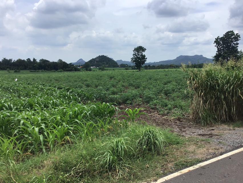 ขายที่ดิน โฉนดครุฑแดง ขนาด 48 ไร่  8