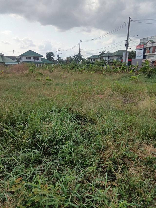 ให้เช่า/ขาย ที่ดิน จ.อุดรธานี 2