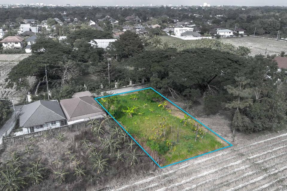 ที่ดินถมแล้ว พร้อมสร้าง วิวทุ่งนา บรรยากาศสงบ โซนหางดง ใกล้สนามบิน เดินทางสะดวก 2