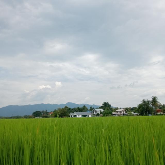 บ้านพร้อมที่ดิน 2 ไร่ 2 งาน 17 ตรว. 15
