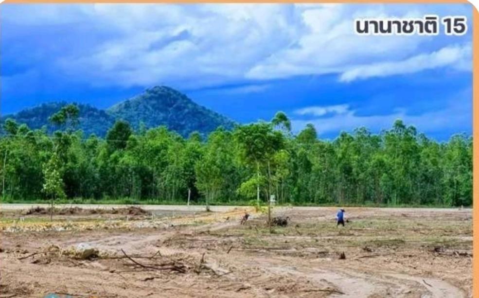 ที่ดิน 1ไร่ ราคาดีมาก กลัดหลวง ท่ายาง เพชรบุรี 10