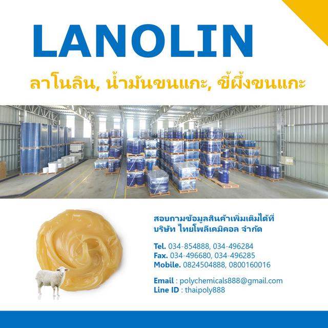 ลาโนลิน, LANOLIN, ลาโนลีน, น้ำมันขนแกะ, ขี้ผึ้งขนแกะ, น้ำมันสกัดจากขนแกะ  1