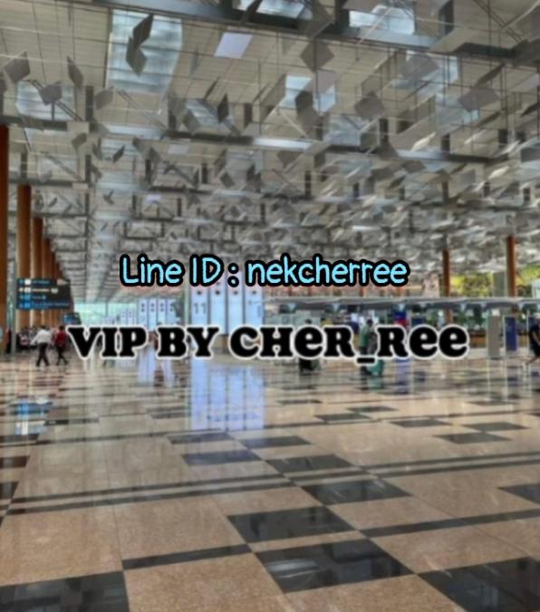 Vipสิงค์โปร์ บินฟรี งานดี เงินปัง