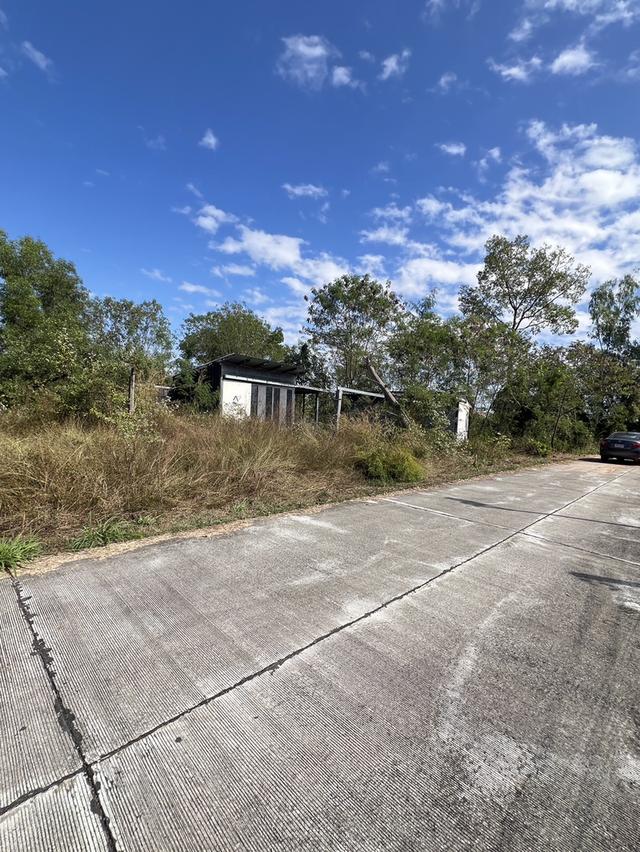 ที่ดินสวยแปลงสวยเหมาะสำหรับปลูกบ้าน 1