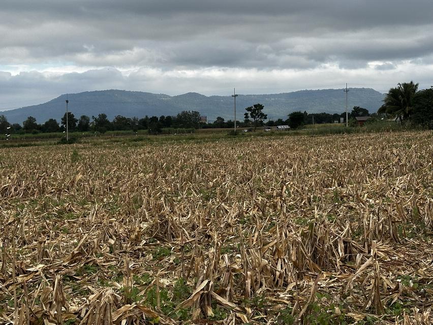 ที่ดินเขาใหญ่ มองเห็นวิวเขา 2ไร่ 2งาน 19ตรว หน้ากว้างติดถนนลาดยาง 77 เมตร ไฟ 3เฟส น้ำพร้อม ถนนลาดยางกว้าง 8 เมตร 5