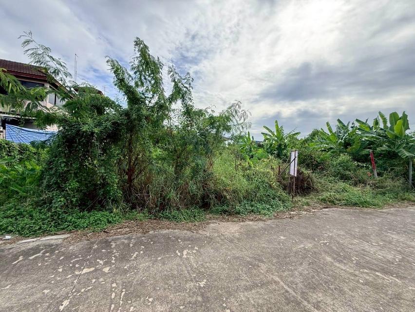 Vายที่ดินใกล้รถไฟฟ้าสายสีชมพู 146 ตารางวา ติดถนนคอนกรีต ถมแล้ว ซอยต้นสน 6 อ.ปากเกร็ด จ.นนทบุรี 5
