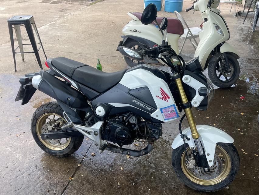 มอเตอร์ไซต์ MSX125i มือหนึ่งสภาพดี