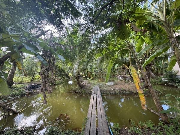 บ้านเดี่ยวพร้อมที่ดิน 2 ไร่ หนองเสือ - คลอง 10 ปทุมธานี 18