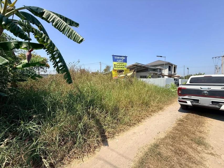 ขายที่ดิน 55 ตารางวาซอยดำรงชาติ หนองจอกกรุงเทพฯ 4