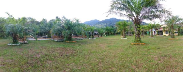 ที่ดิน 20 ไร่ ไร่ละ 3แสน 2