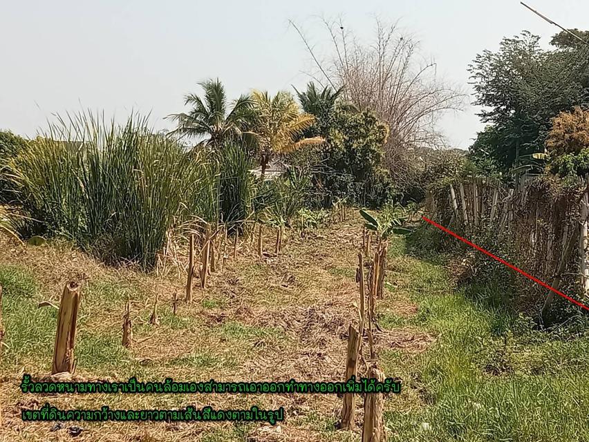 ที่ดินเปล่า/ไม่แบ่งขาย 9