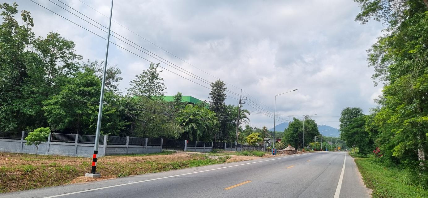 ต้องการขายบ้านที่ระยอง พิกัดบ้านเขาวังม่านสูงจากระดับน้ำทะเลปานกลาง 55 เมตร 1