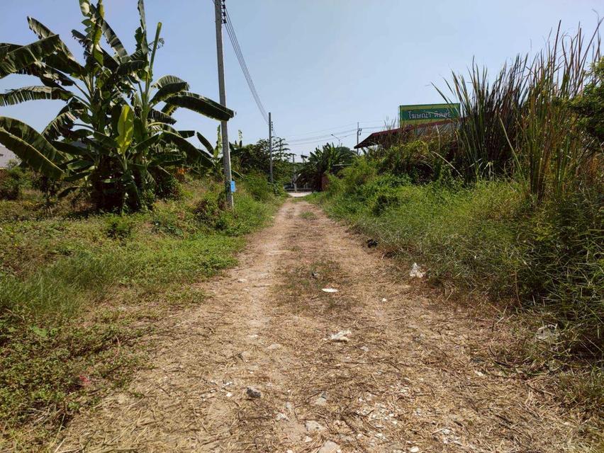 ที่ดินอสังหาริมทรัพย์ 9