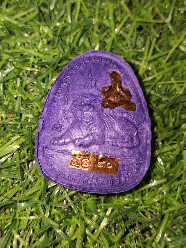 พระปิดตาพญาเสือนอนกิน รุ่นแรก วัดในเตา จ.ตรัง พระอาจารย์ประสูติ ปิยธัมโม 2568 4