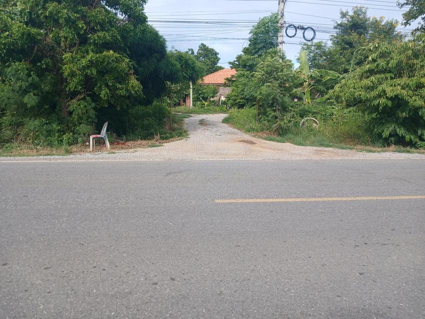 บ้านสวนสวยร่มรื่น ศรีประจันต์ สุพรรณบุรี 6