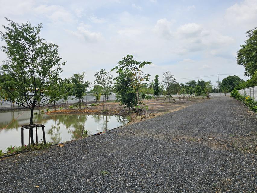 ขายที่ดินหนองจอก คลองสิบสอง พร้อมบ้านสวน 3