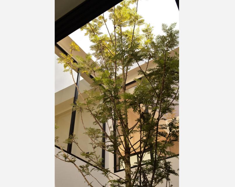 EDEN ศรีนครินทร์-สวนหลวง บ้านเดี่ยวสไตล์ Modern Tropical พร้อมสวน Courtyard ขนาดใหญ่ใจกลางบ้าน 8