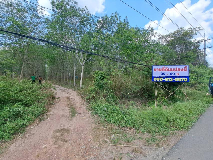 ขายที่ดินระยอง ใกล้แยกกะเฉด ที่ดินอยู่ติดถนนสุขุมวิท เป็นถนน4เลน มีที่ดิน 2 แปลงติดกันเนื้อที่ 34-69 ไร่ ใกล้แยกที่เลี้ยวไปสวนพฤกษศาสตร์ระยอง 4