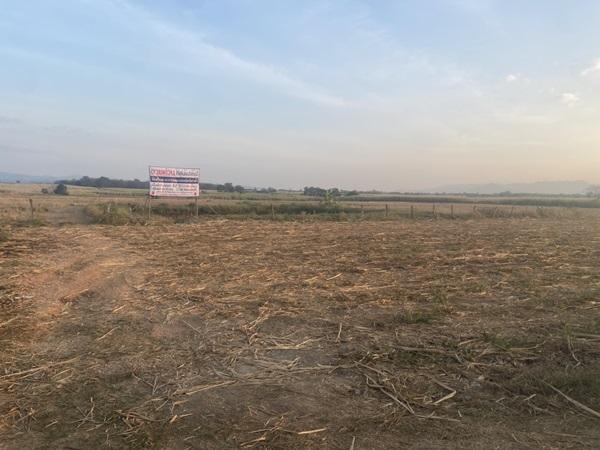 ด่วน ขายที่ดินแม่สอด-ห้วยกระโหลก จังหวัดตาก จำนวน 42 ไร่ (ที่ดินมีโฉนด นส.4 ครุฑแดงแปลงเดียวในย่านนี้) รูปย่อยที่ 2