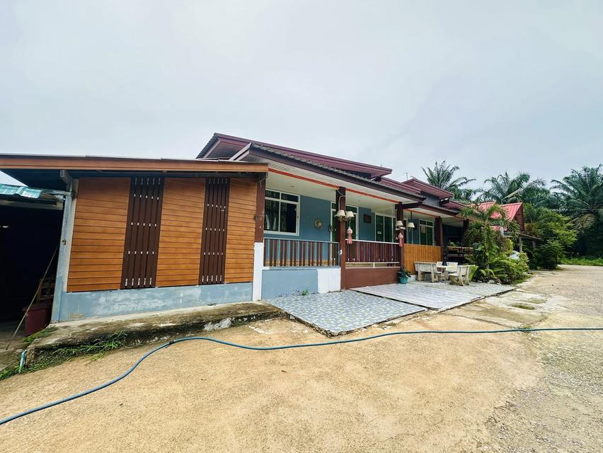 ขายกิจการ รีสอร์ท+บ้าน ท่าแซะ ชุมพร  6