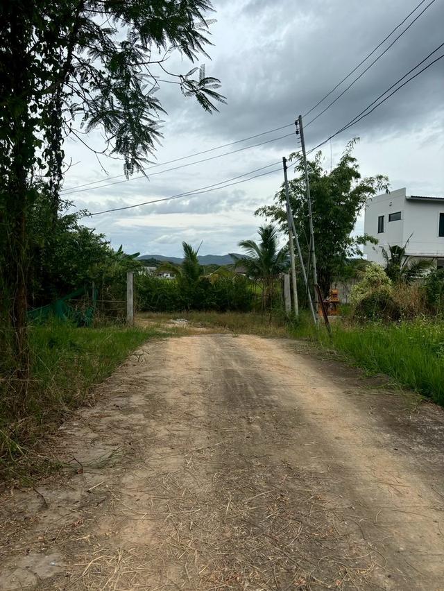 ที่ดินเปล่า ย่านชุมชน ใกล้เมือง เข้าออกสะดวกหลายทาง บรรยากาศดี เหมาะแก่การทำเกษตร บ้านจัดสรร รีสอรท์ ศูนย์ปฏิบัติธรรม 5