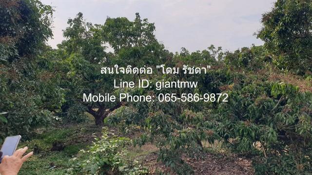 พื้นที่ดิน ขายที่ดินสวนลำไย ต.ขุนดง อ.หางดง จ.เชียงใหม่ (น.ส.4 จ) 2 RAI 0 NGAN 0 ตร.วา 2500000 BAHT. ใกล้ โรงพยาบาลหางดง 6