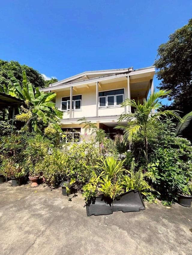 ขายบ้านพร้อมที่ดิน พื้นที่ 196 ตร.ว. ซอยปรีดีพนมยงค์ 37 (สุขุมวิท 71) แขวงพระโขนงเหนือ เขตวัฒนา กรุงเทพฯ 2