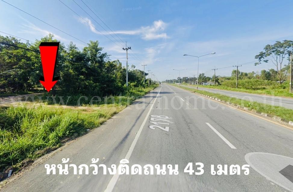 ที่ดินเปล่า 19 ไร่  ติดถนน 2178 โนนโหนน วารินชำราบ อุบลราชธานี 2