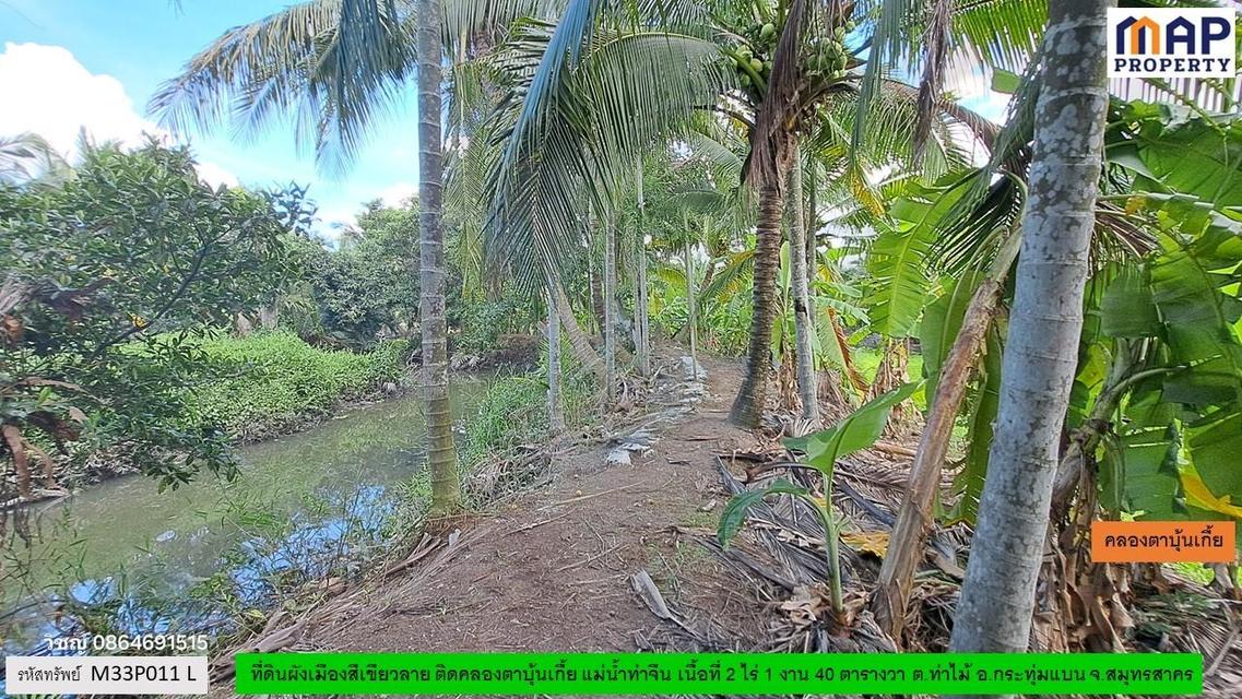 ที่ดินริมคลอง ผังเมืองสีเขียวลาย 4