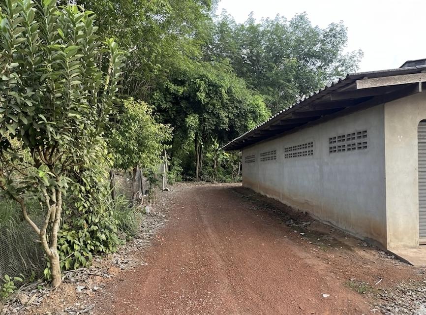 บ้านพร้อมที่ดิน ติดถนนสุขุมวิท(ทางหลวงแผ่นดิน3) 2