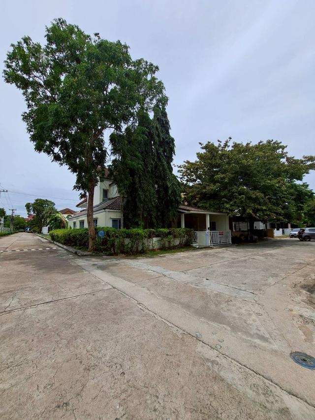 ขายด่วนบ้านสวยในหมู่บ้านจอมเทียนยอร์ชคลับ 1 13