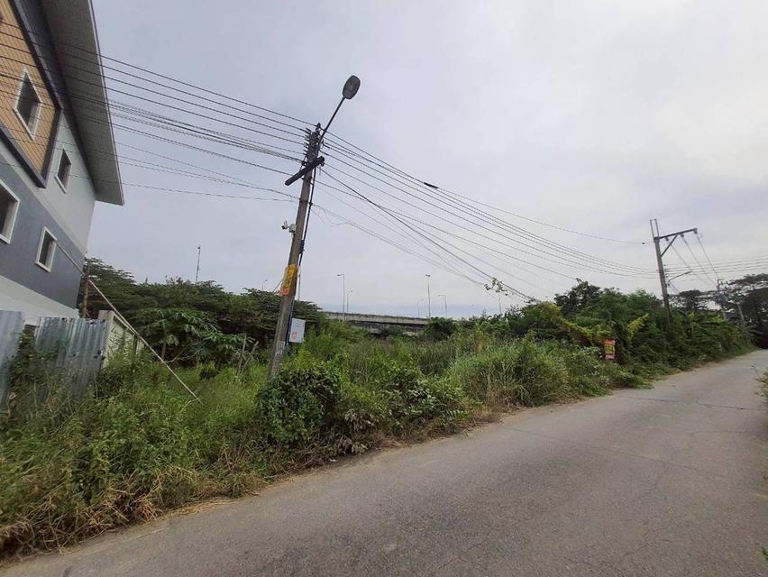 Vายที่ดินใกล้โรบินสันสมาน 172.5 ตารางวา ติดถนนคอนกรีตสาธารณะ ศรีสมาน ซอย 5 อ.ปากเกร็ด จ.นนทบุรี 9