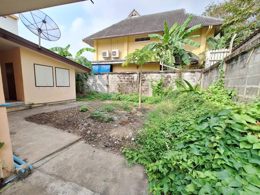 ขายที่ดินแถมบ้านหรือให้เช่า ซ.เสนานิคม 1 ใกล้ปากทาง ขนาด 173 ตารางวา  10