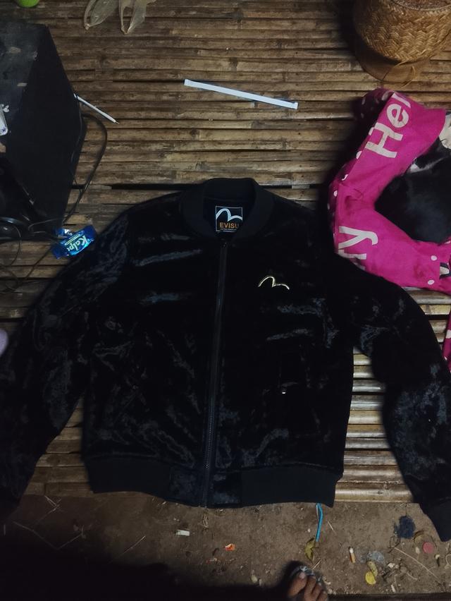 EVISUestablished1952 3