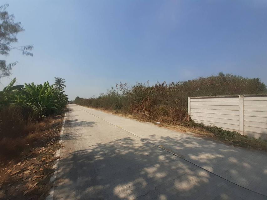 ที่ดินติดถนน2ด้านแบ่งขายอยู่ห่างอนามัยคลองโยง2 พุทธมณฑล