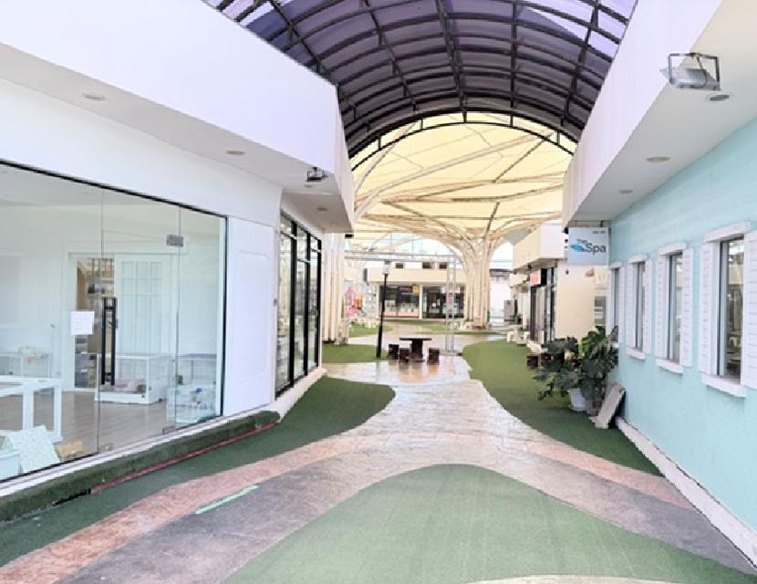 ขายที่ดินพร้อมกิจการ / พื้นที่ดิน 6 ไร่ 60 ตารางวา / กิจการเป็น Community Mall (คอมมูนิตี้มอลล์) ชื่อโครงการ เดอะทรี บางบอน 2