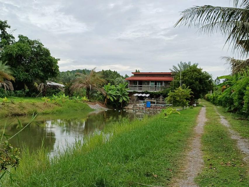 ขายที่ดินพร้อมบ้าน 3 หลัง จำนวน 6  ไร่  ต.เขาขลุง อ.บ้านโป่ง จ. ราชบุรี ห่างถนนใหญ่ 600 เมตร(ถนนกำลังขยาย 4 เลน)  1