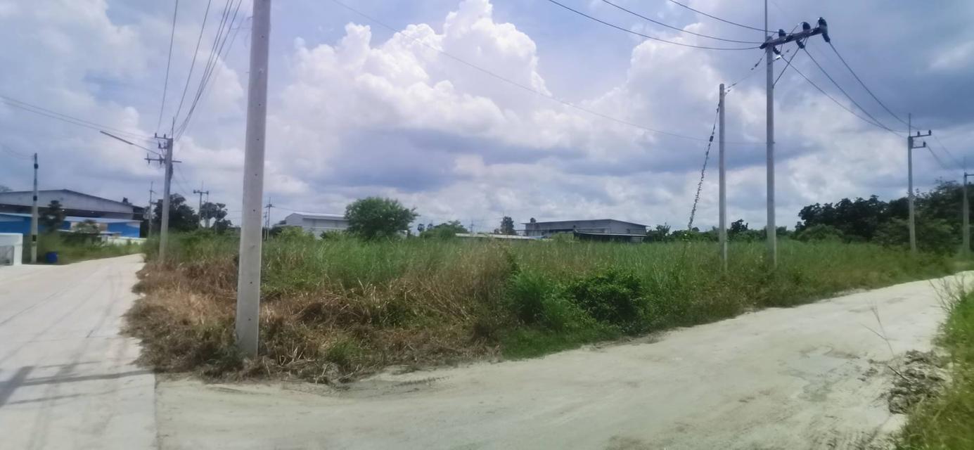 ขาย! ที่ดินพร้อมโรงงาน 6-3-0 ไร่ บ้านบึง จ.ชลบุรี ติดถนน ใกล้นิคมอมตะนคร ทำเลดี พร้อมใช้งาน 6